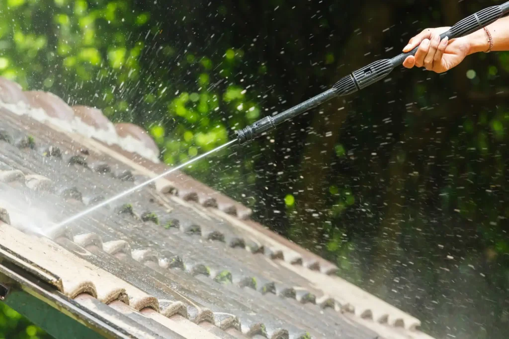 Roof Cleaning
